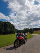 Aprilia Tuono v4 Factory 1100 - APRILIA TUONO V4 1100