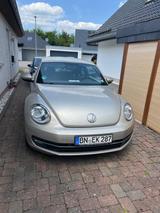 Volkswagen Beetle 1.2 TSI 50's BMT Cabriolet 50's BlueM... - mit Benzin-Antrieb: Beige, Cabrio