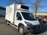 Fiat Ducato Maxi 35 160 L3*CARRIER*KÜHLKOFFER*TOP*EU6 - Angebote