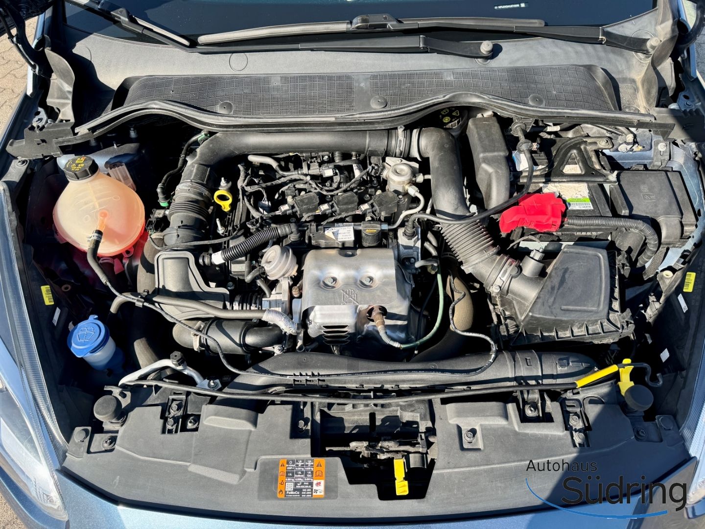 Fiesta 1,0 EcoBoost Active Navi Klimaautom SHZ