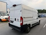 Fiat Ducato Hochr.-Kasten 35 L2H2 1.HAND/NAVI/KLIMA - gebrauchte Fiat Ducato aus dem Jahr 2023