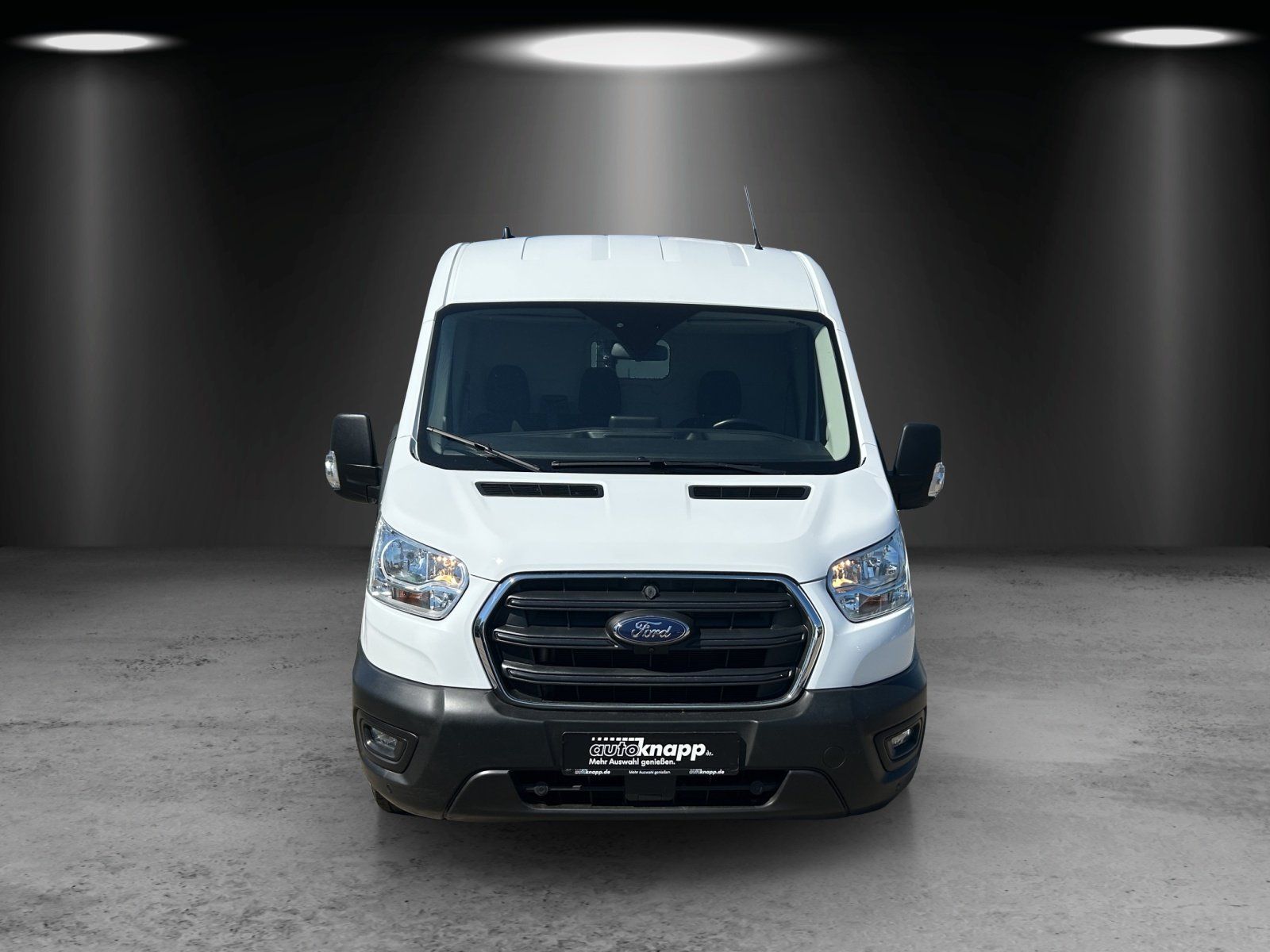 Fahrzeugabbildung Ford Transit 290 L2H2 LKW VA Trend