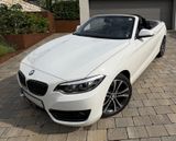 BMW 230i Steptronic Cabrio Sport Line - BMW 230: Leder