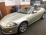 Jaguar xk Cabrio - Jaguar XK von privat
