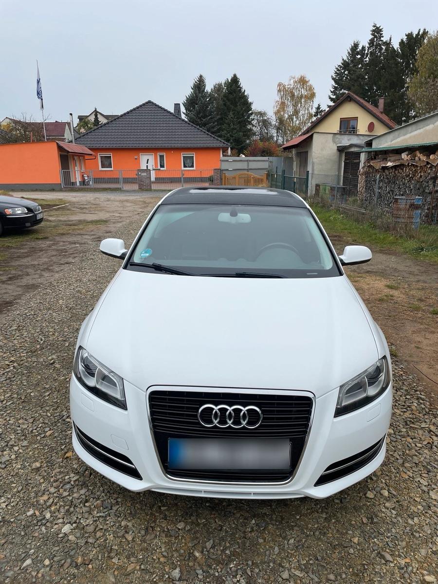 Audi A3 2011 — вигляд ззаду