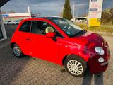 Fiat 5001.2   Lounge - Fiat 500: Rot