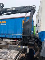 Mercedes-Benz 1824 Antos mit Kran, Greifzange, - Autotransporter