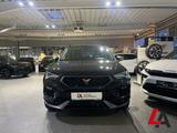Cupra Ateca 1.5 TSi 150 PS DSG AHK SHZ ACC VOLL LED NA - Cupra Ateca Gebrauchtwagen
