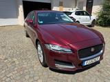Jaguar XF Prestige + 1.Hand + - Jaguar XF in Duisburg