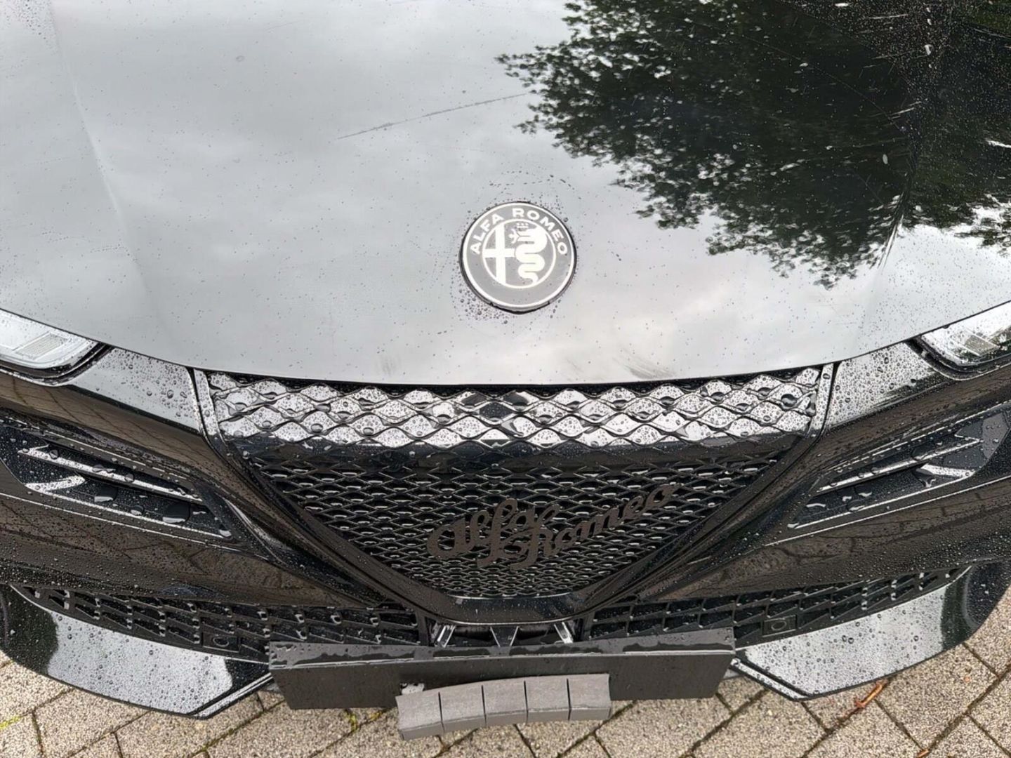 Fahrzeugabbildung Alfa Romeo Junior Elettrica TI -Technologie-Panorama-Wärmep