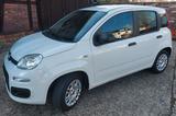 Fiat Panda easy 1,2 51kw 55tkm Klima - sparsam - Fiat Panda: 5.5