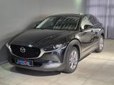 Mazda CX-30 Selection G-122/AWD/6GS/Bose/Des.-P./Activ - Mazda CX-30 mit Hybrid-Antrieb: Selection
