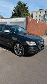 Audi SQ5 3.0 TDI 313PS Pano Carbon & Top A... - Audi SQ5 in Aachen