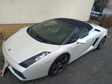 Lamborghini Gallardo Spyder 5.0,Lift,37000.-Investiert - Lamborghini in Frankfurt (Main)