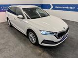 Skoda Octavia Style 2.0 TDI HUD ACC AHK - Skoda Octavia aus 2023