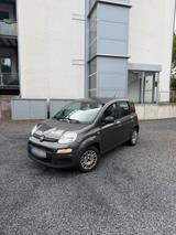 Fiat FIAT Panda Easy 1.2/ gepflegter Zustand/ T... - Fiat Panda Gebrauchtwagen in Wuppertal