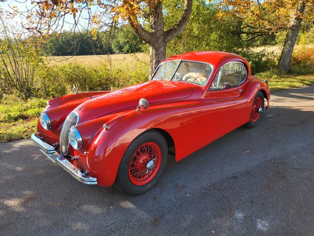 Jaguar XK 120 FHC