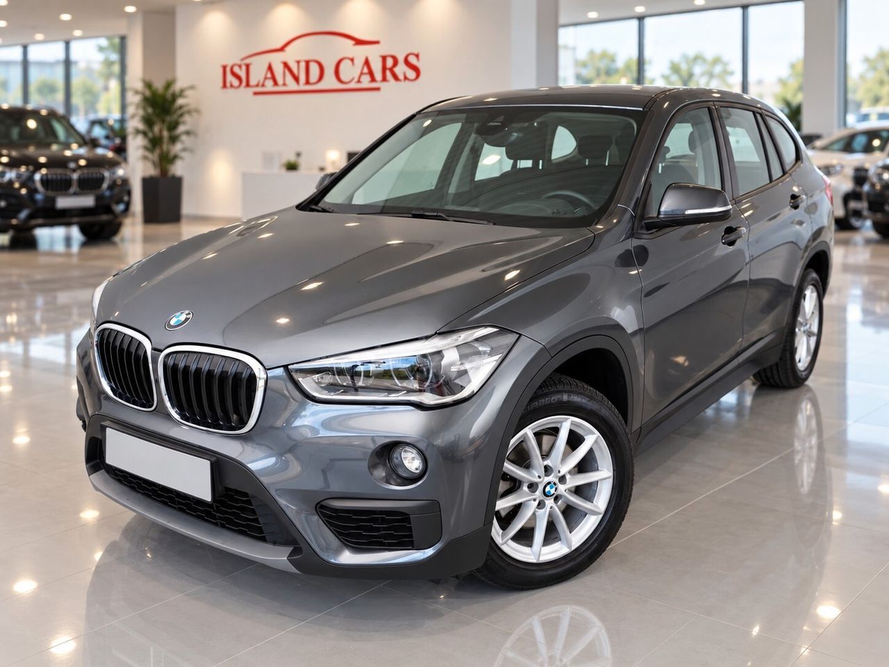 BMW Bmw X1 sDrive18i Advantage