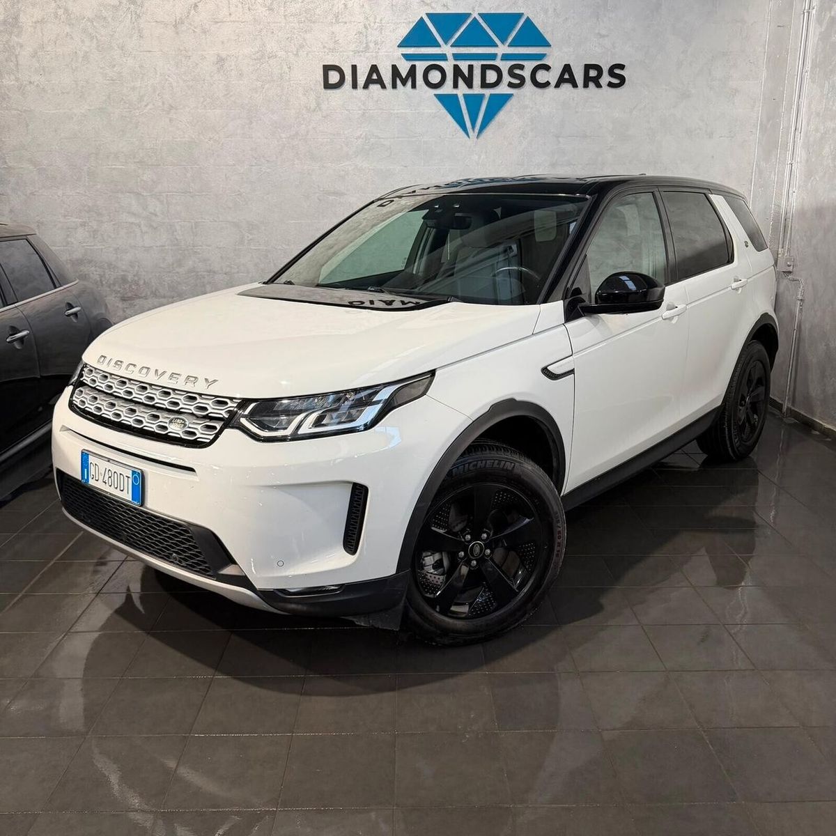 Land-Rover Land Rover Discovery Sport 2.0 eD4 IVA ESPOSTA