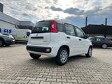 Fiat Panda Pandina 1.0 Icon *5 Sitzer Klimaanlage* - Fiat Panda Neuwagen mit Benzin-Antrieb