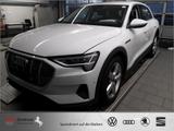 Audi e-tron quattro AZN-Haus-Förderung* Kamera StandH - Audi e-tron aus 2023
