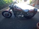 Harley-Davidson Dyna Super Glide Custom FXDC 5HD - HARLEY-DAVIDSON DYNA CUSTOM