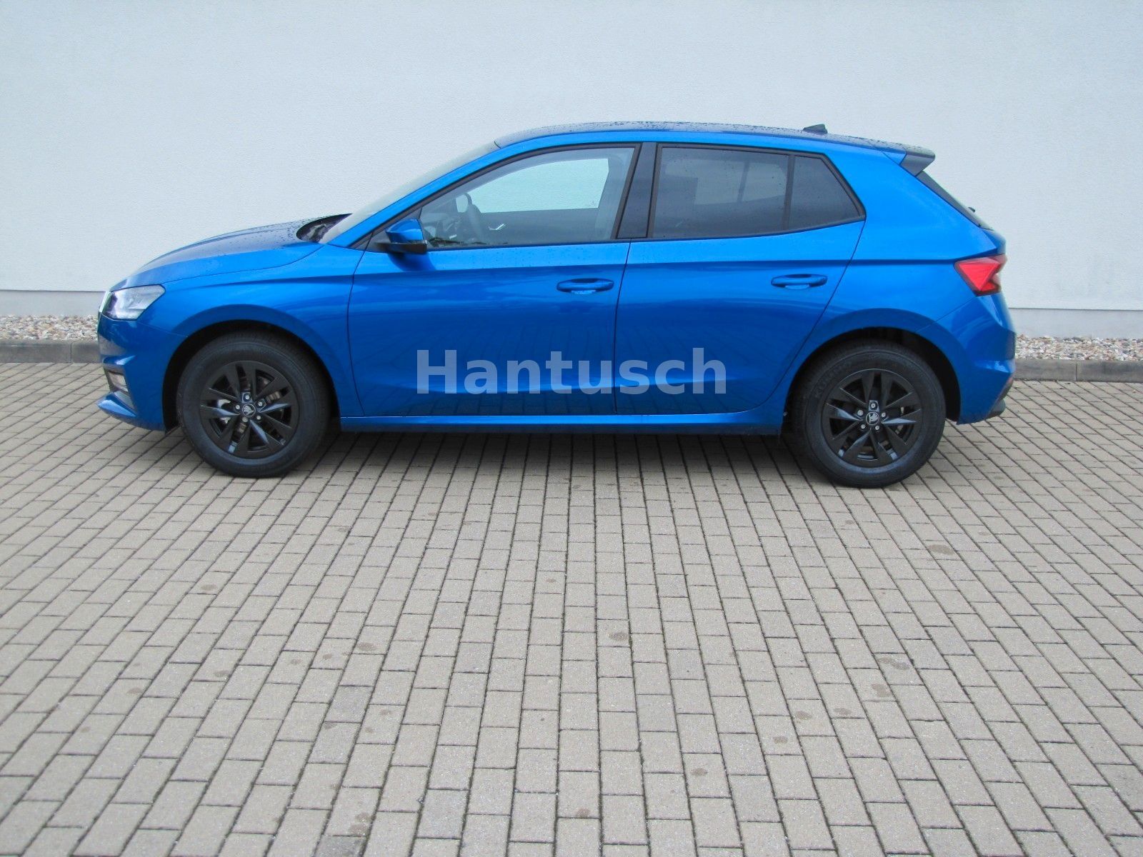 Fahrzeugabbildung SKODA Fabia Selection 1.0l TSI 95PS