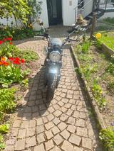 Honda 125 Monkey JB02  - HONDA MONKEY