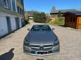Mercedes-Benz SLK 250 CDI BlueEFFICIENCY - - Mercedes-Benz mit Diesel-Antrieb: Sl