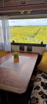 HYMER / ERIBA / HYMERCAR Hymermobil S 595 Mercedes Oldtimer  - Hymermobil