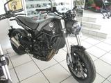 Benelli Leoncino 500 - BENELLI LEONCINO 500