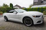 Ford Mustang 2.3 EcoBoost Cabrio - Ford Mustang mit Benzin-Antrieb: Cabrio, Automatik