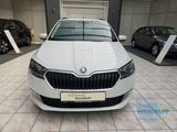 Skoda Fabia Combi Ambition 1.0 TSI Tempomat Smart-Link - Skoda Fabia aus 2023