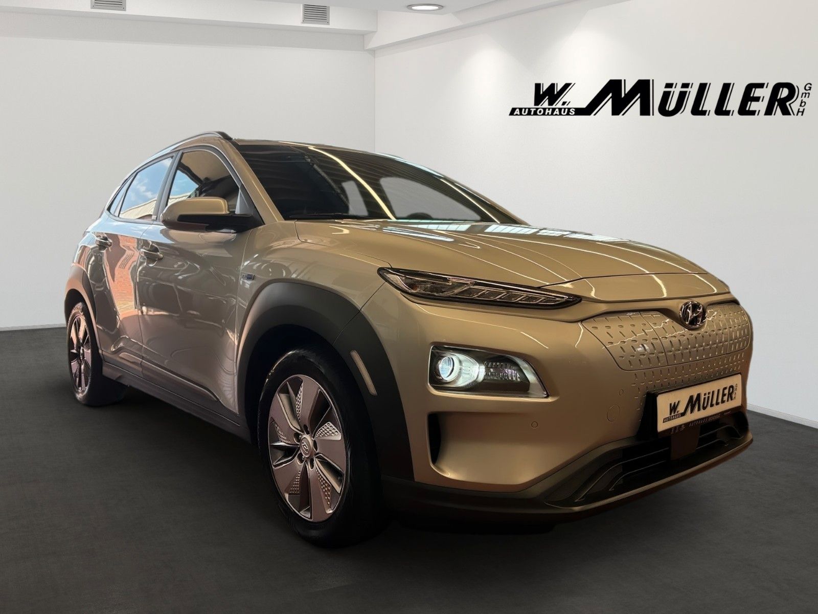 Fahrzeugabbildung Hyundai Kona Style Elektro