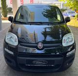 Fiat Panda TÜV AU NEU*KLIMA*Euro 6* - gebrauchte Fiat Panda aus dem Jahr 2019