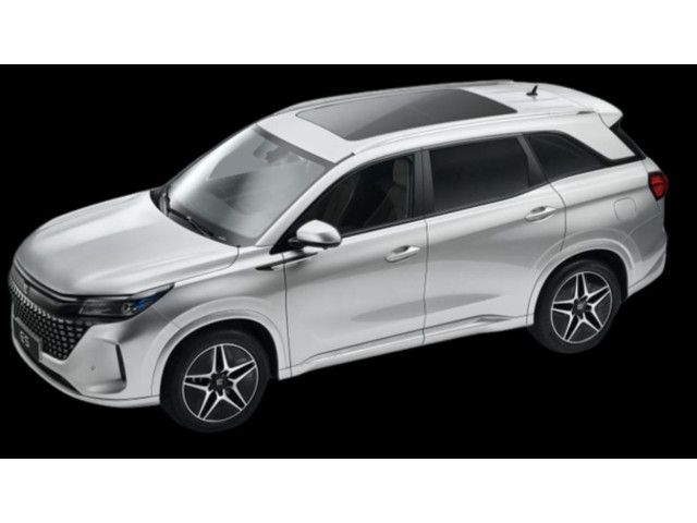 DFSK Fengon E5 PHEV Pano/LED/360°Kamera/Leder/7Sitze