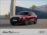 Audi Q5 SUV 2xS-Line TDI quattro 220kW  AIR/ TECH-Pro - Audi Q5: Leder