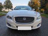 Jaguar XJ 5.0 V8 Portfolio gepflegt und sauber - Jaguar XJ: Portfolio