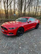Ford Mustang GT 5.0 Automatik deutsch Sche... - Ford Mustang in Oberhausen