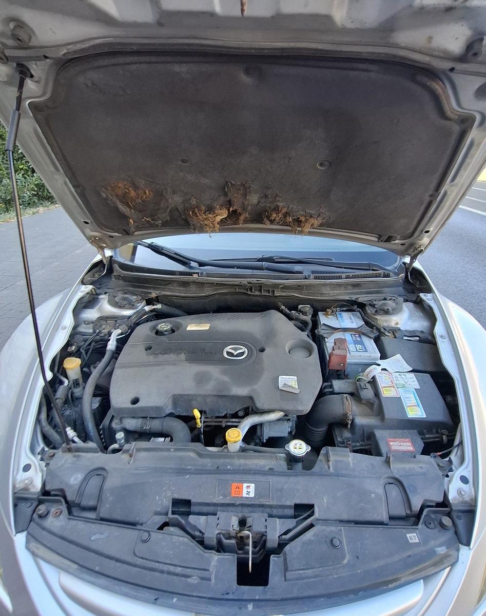 Mazda 2 2008 — photo 10