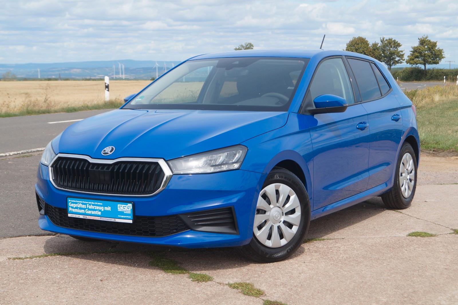 Skoda Fabia Active +LED+App-Connect+AHK+