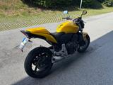 Honda CB 600 F Hornet PC 41 - HONDA CB600F