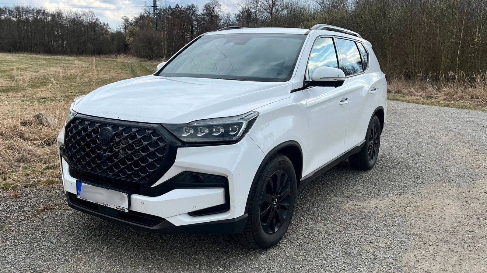 SSANGYONG REXTON
