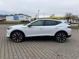 Cupra Formentor VZ 2.0 TSI 4 Drive *LED*Kamera*DCC*ACC - Cupra Formentor in Hamm