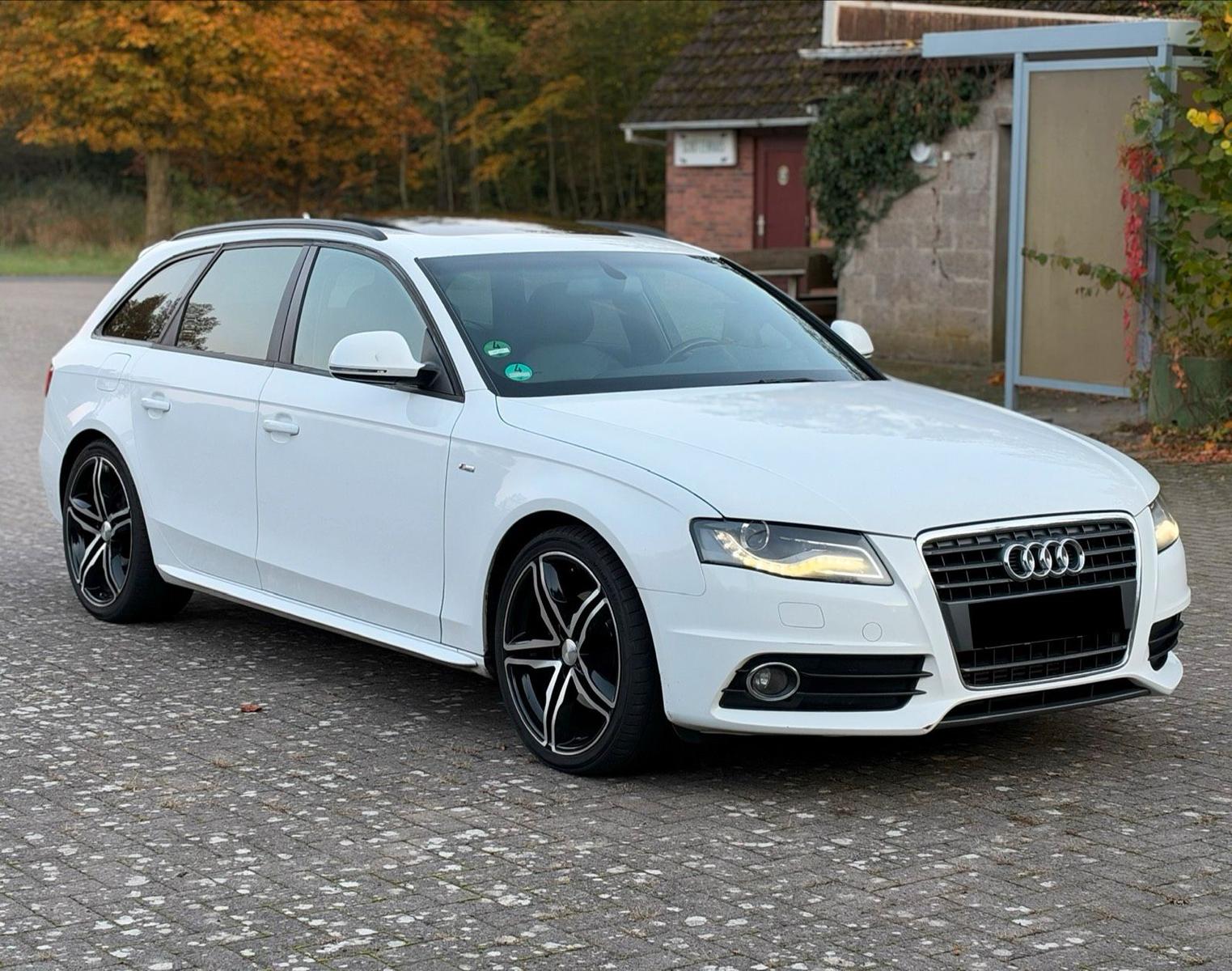 Audi A4 2009 — вигляд ззаду