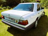 Mercedes-Benz Kultdiesel W124 250 D - Original erhalten - Mercedes-Benz 250: W124 250d