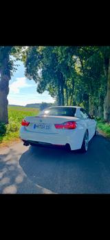 BMW 430i Cabrio / f33 / M-Paket / Standheizung  - BMW 430: M Paket