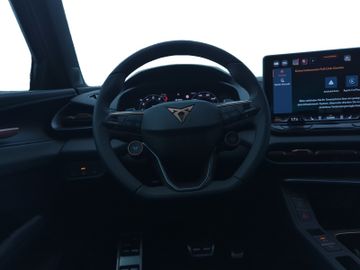 Cupra Terramar - 12