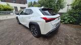Lexus UX 250h Style Edition - Lexus: Allradantrieb