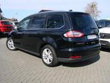 Ford Galaxy 2.0EcoBlue Titanium 7-Sitzer ACC Panorama - Ford Galaxy: Schwarz
